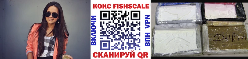 Cocaine FishScale  купить наркоту  ссылка на мегу зеркало  Новая Ладога 