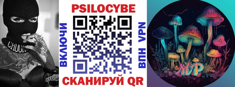 Псилоцибиновые грибы прущие грибы  купить  цена  Новая Ладога 