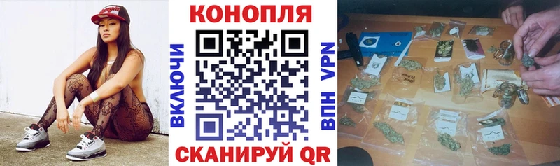 Бошки марихуана VHQ  Новая Ладога 